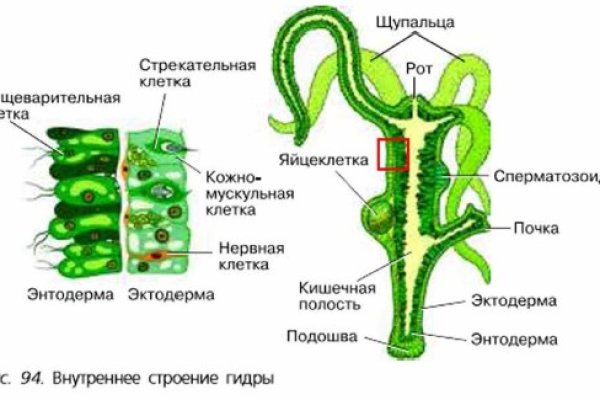 Кракен сайт вход